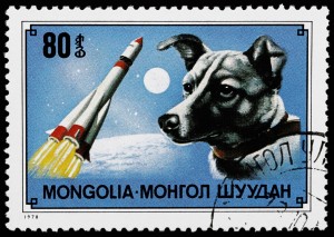 Laika - First animal to orbit the Earth in 1957