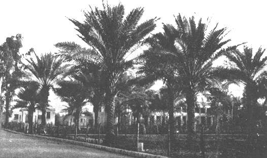 The Garden of Ridvan in Baghdad, where Baha’u’llah declared His mission.