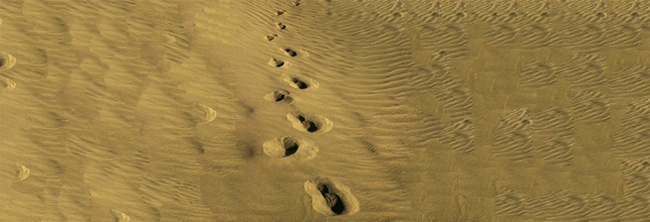 Foot Steps in the Sand