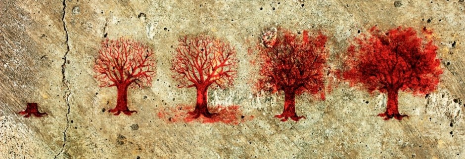 Process of the Tree Life in Five Stages.
