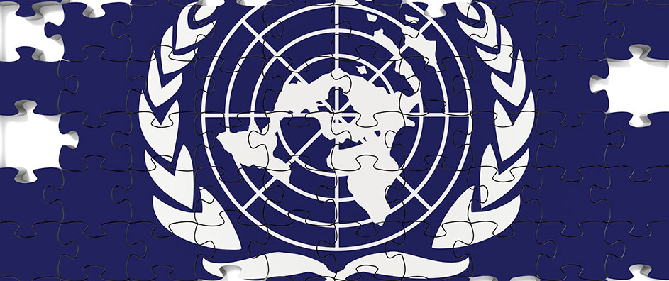 UN Flag Puzzle