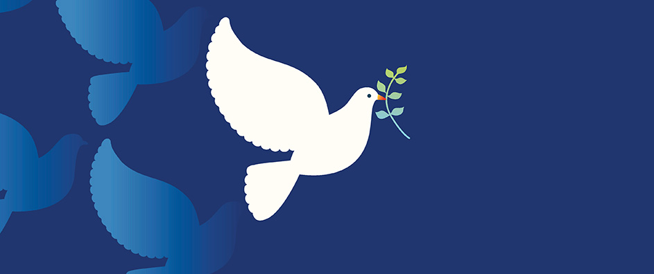 White Peace Dove