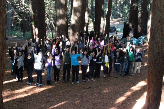 Bosch activities held among Redwood trees