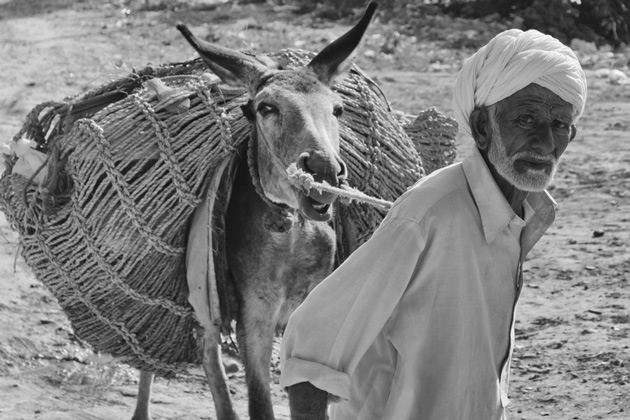 Old-man-and-donkey