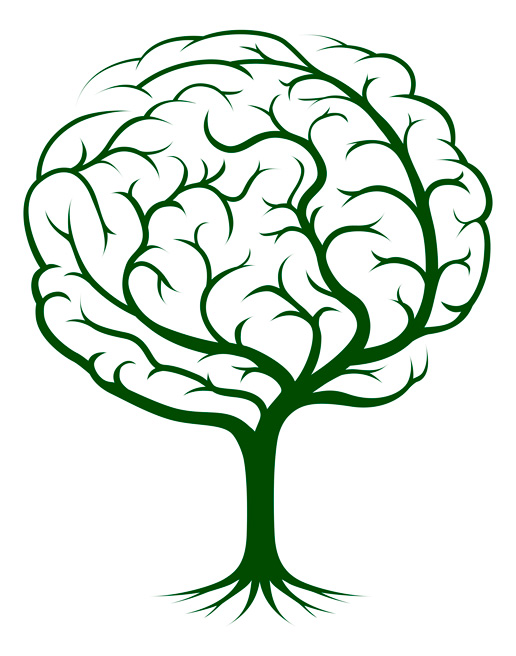 Brain-Tree