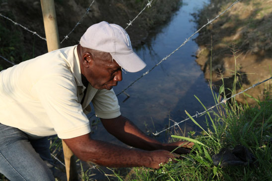 Don Hernan Zapata plants new trees along a fence surrounding the site for the House of Worship
