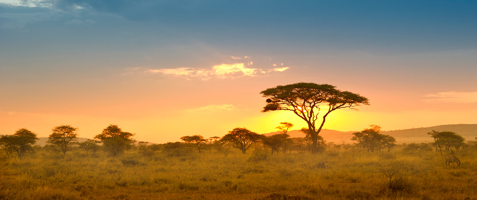 The Quest of Our Lifelong Safari - BahaiTeachings.org