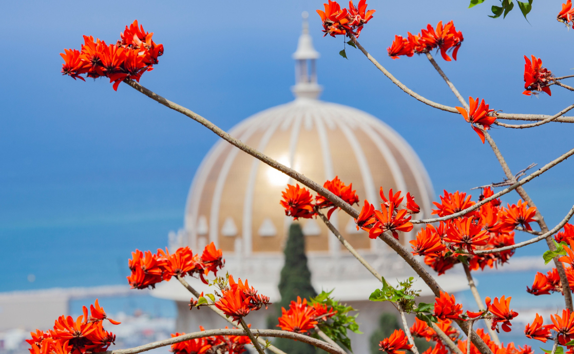 The Baha’is are Celebrating, and You’re Invited