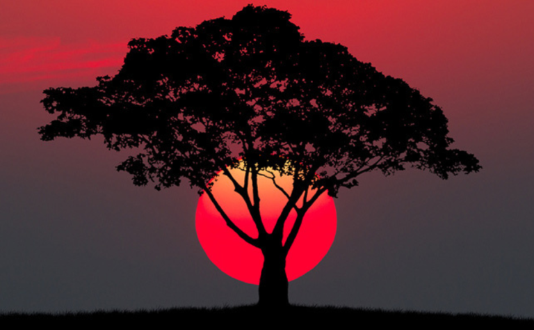 Do Revelations Begin in Dreams?