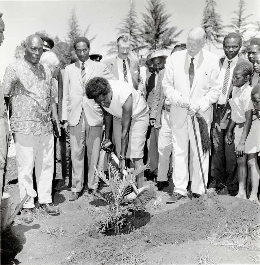 Wangari Maathai planting a tree in 1977 with the co-founders of the Men of the Trees, Richard St. Barbe Baker (to her right in white suit) and Chief Josiah Njonjo (far left). 