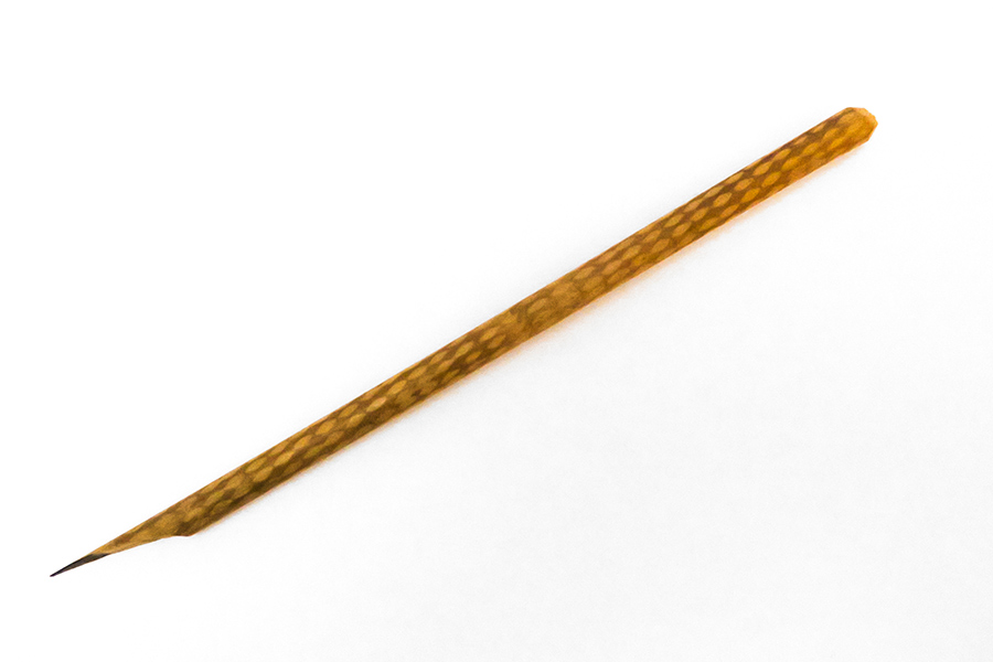 A reed pen of Baha’u’llah, on display at the British Museum. “It is quite remarkable to think that such a simple instrument as the reed pen of Baha’u’llah, that you see here, was the means through which He set out His vision for a united humanity,” said a representative of the UK Baha’i community at the recent reception.