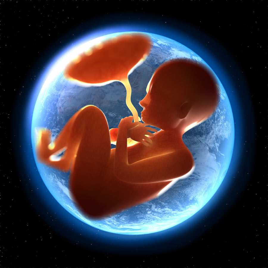 womb-earth