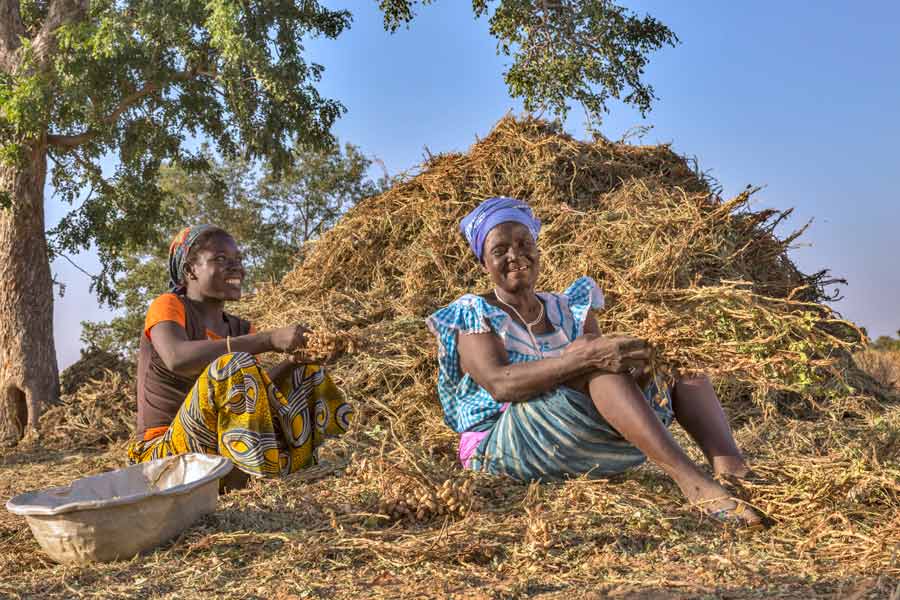 Smallholder farmers in Burkina Faso