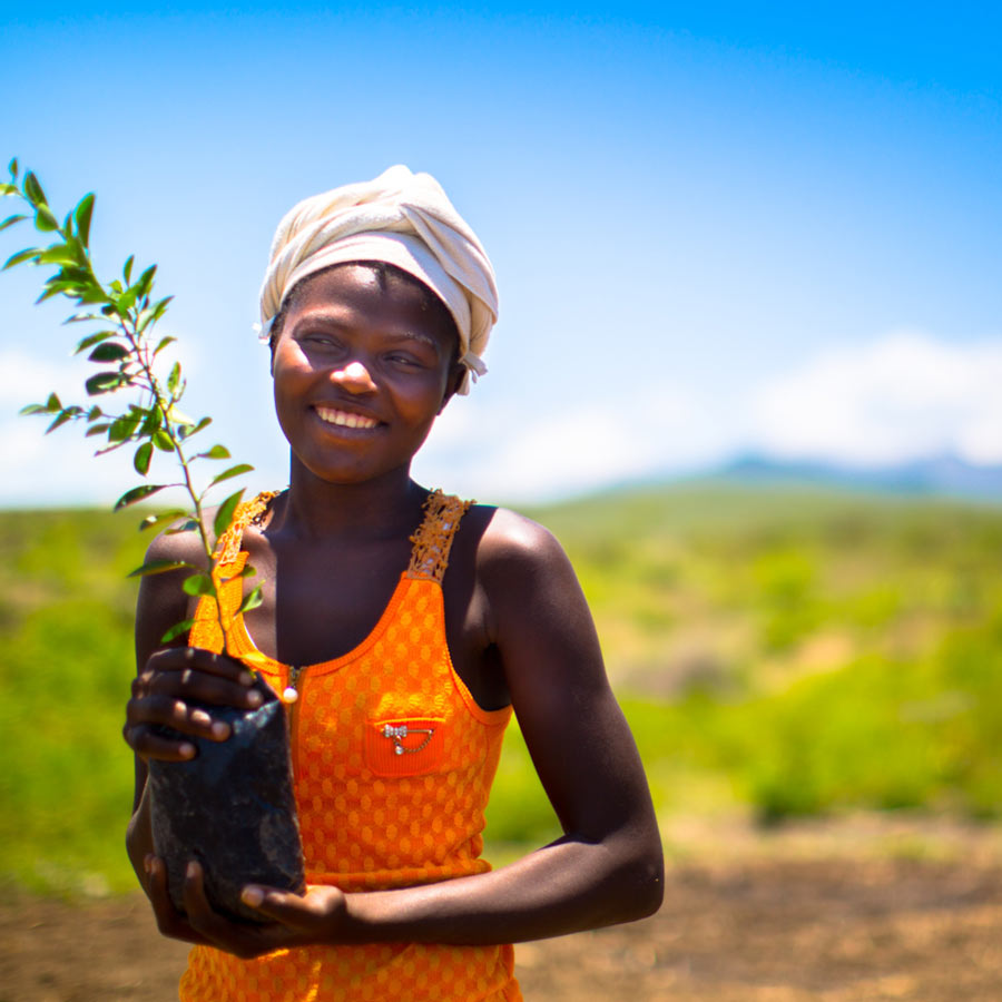 haiti-tree-planting