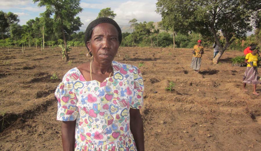 smallholder-farmer-in-benin