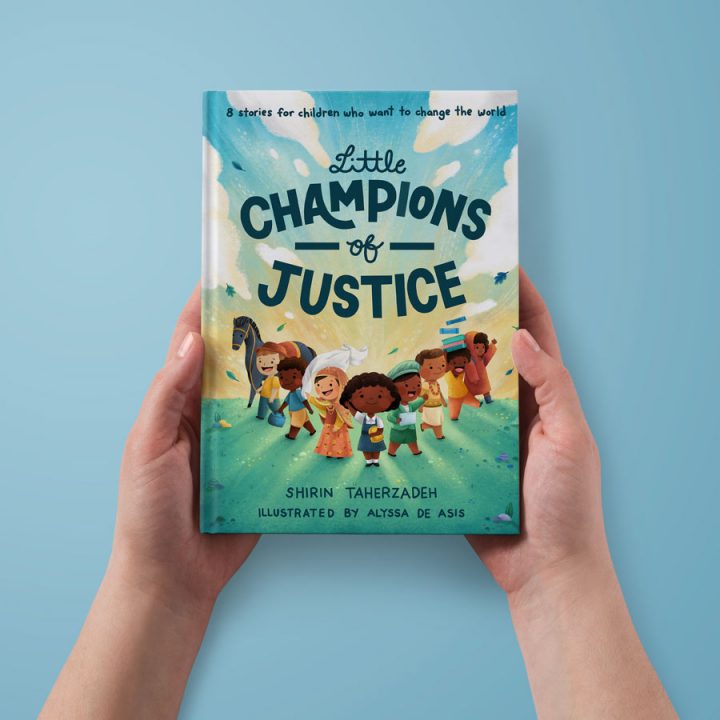 Little Champions of Justice book cover.