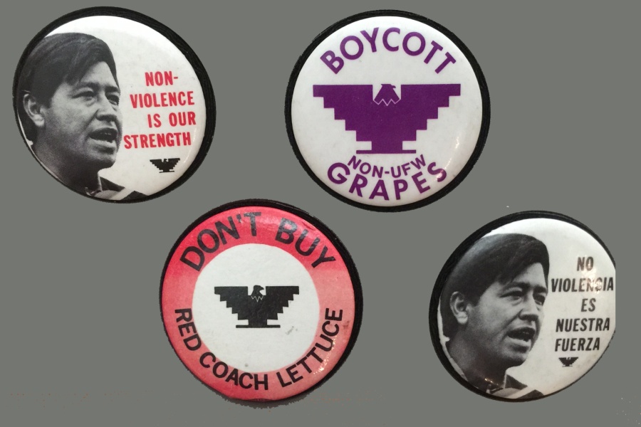 This image has an empty alt attribute; its file name is National-Farm-Workers-Association-protest-buttons.jpg