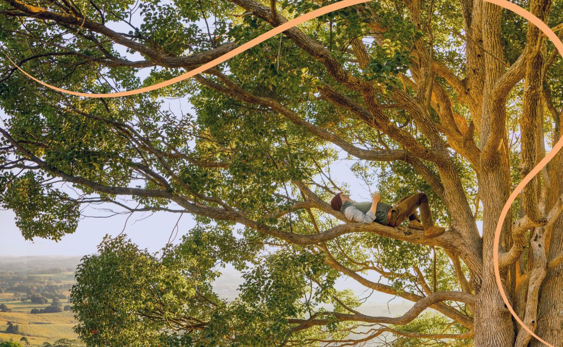 the-spiritual-meaning-and-significance-of-trees-bahaiteachings