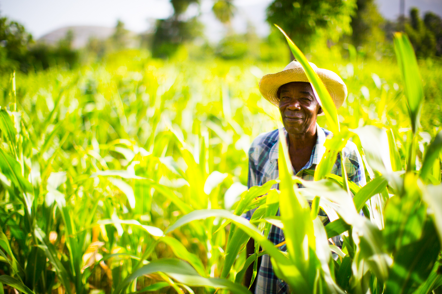 how-haitian-farmers-lead-revolutionary-change-inspired-by-baha-i-ideals