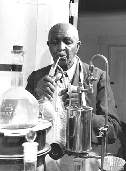 George Washington Carver, American botanist and inventor, at work in his laboratory