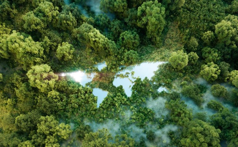 The world map made of trees and lakes