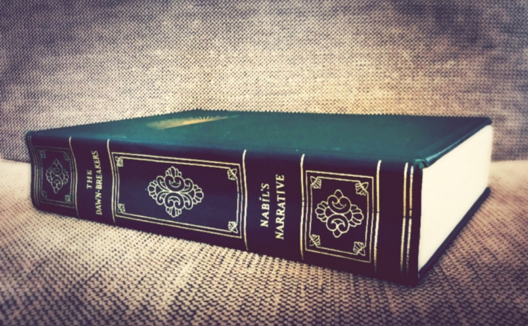 The Dawn-Breakers book