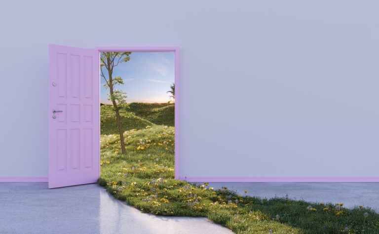 Leave Your War at the Door, Please