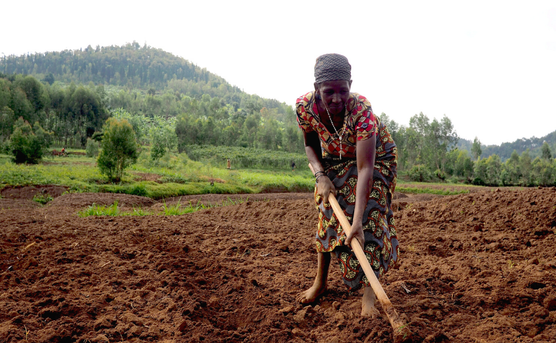 Agriculture: the Secret Ingredient to Global Peace and Prosperity ...